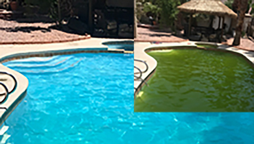 Pool green to clean treatment in Las Vegas